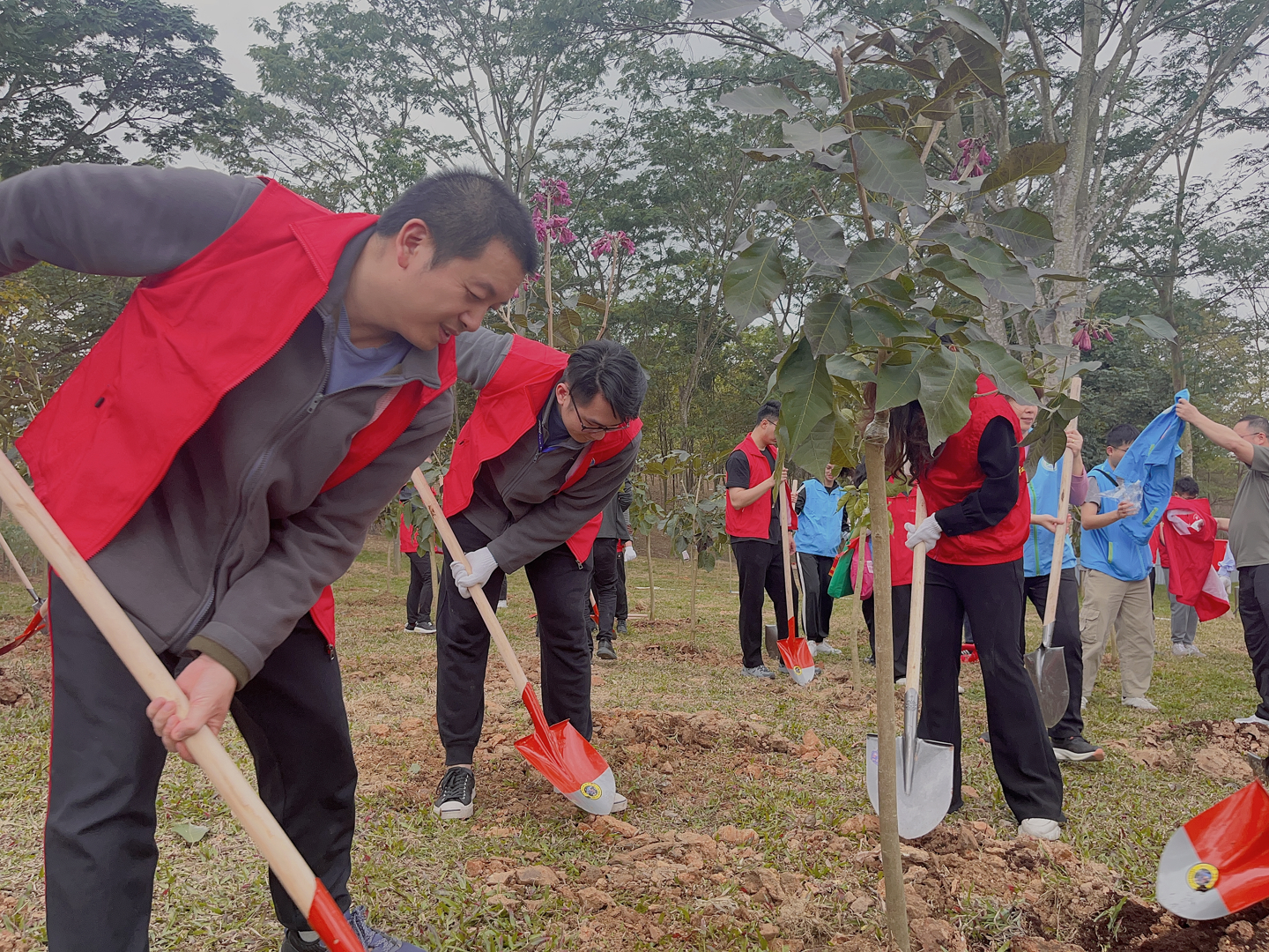 YP电子医疗植树活动